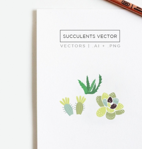 Succulents Illustration & Clip
