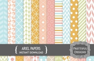 Ariel Papers