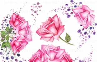 Watercolor Flowers Clipart