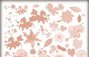 Floral Brushes 01