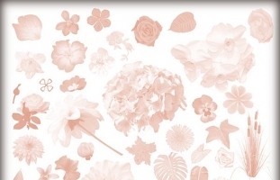 Floral Brushes 02