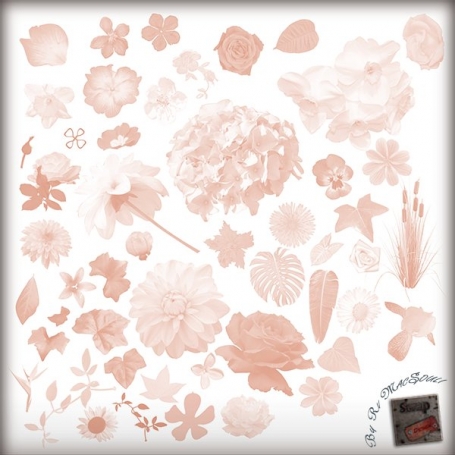 Floral Brushes 02