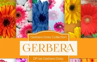 Digital Papers - Gerbera Daisy