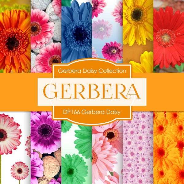 Download Digital Papers - Gerbera Daisy (DP166) 