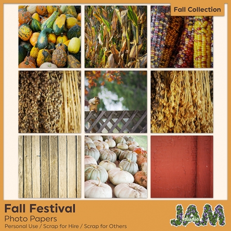 Fall Festival - Photo Papers Set 1