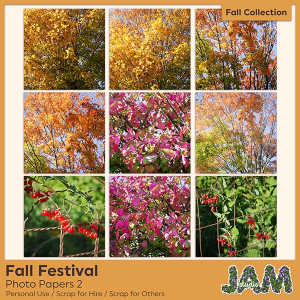 Download Fall Festival - Photo Papers Set 2 