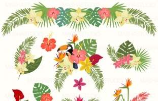 TROPICAL FLOWERS CLIPART