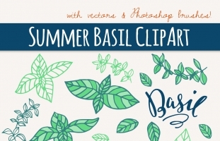 Summer Basil Clipart & Vectors