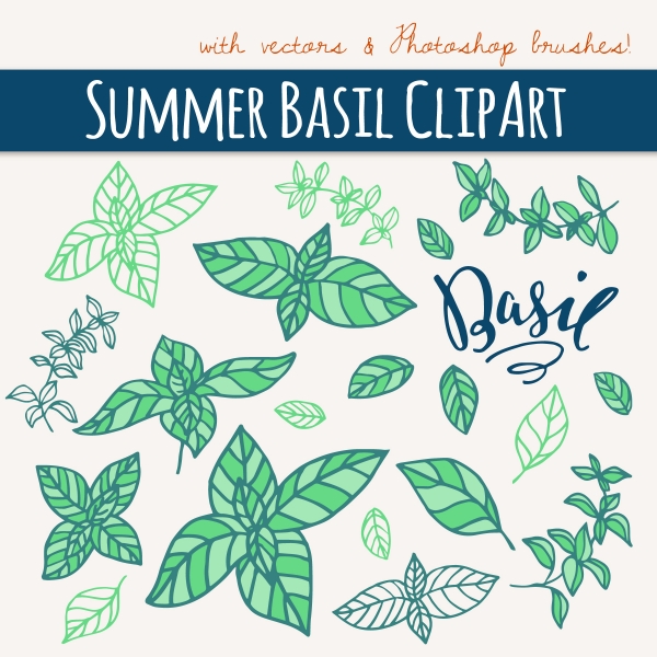 Download Summer Basil Clipart & Vectors 