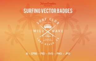 Summer Surfing Badges &