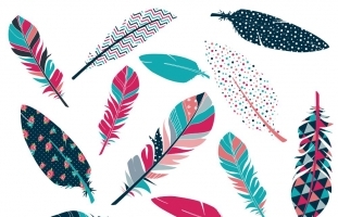 Navy & Pink Feather Clip Art