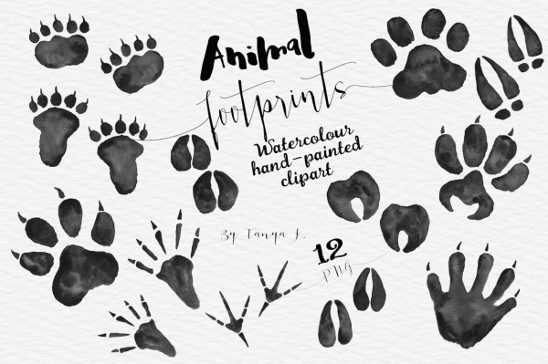 Download Foot Prints of Woodland Animals 