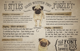 Hand made Font "Pugzley"