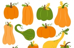 Pumpkin and Gourds Clipart