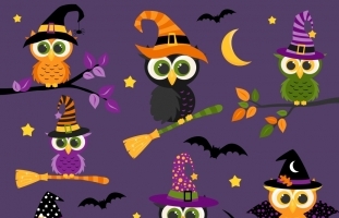 Halloween Owls Clipart