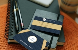 Modern Business Card | 5 colors