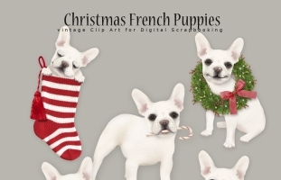 Christmas French Puppies