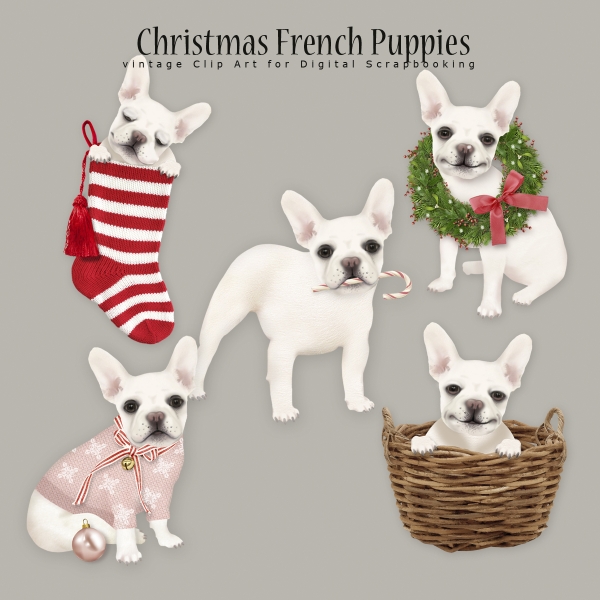 Download Christmas French Puppies 