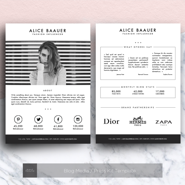 Blog Media Press Kit Template For MS Word Web Luvly