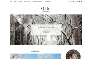 OSLO - Minimalist & Responsive