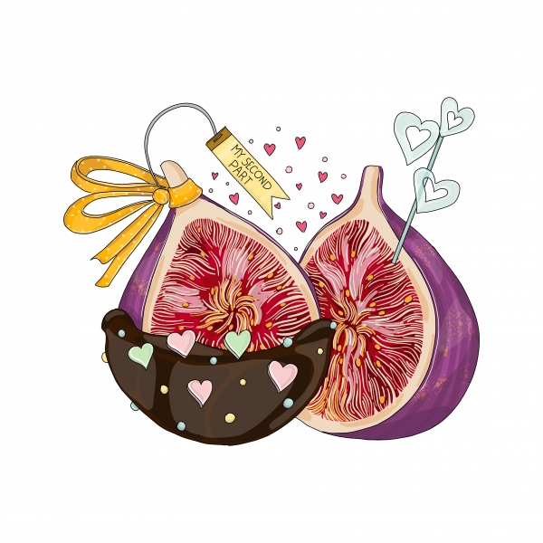 Download Figs in Love and in Chocolate 