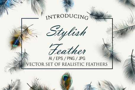   Vector Feathers Set