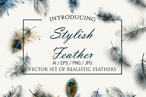 Download   Vector Feathers Set 