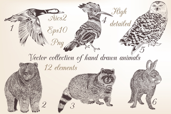 Download  Collection Of Vector Hand Drawn Animals 