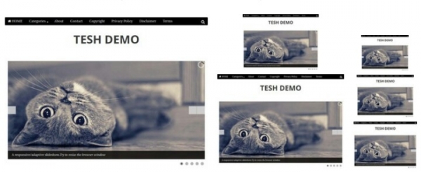 Download Tesh Pre-made Blogger Template 
