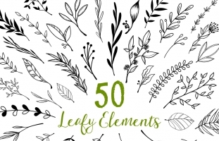 Leaf Clipart, Leaf Clip Art,