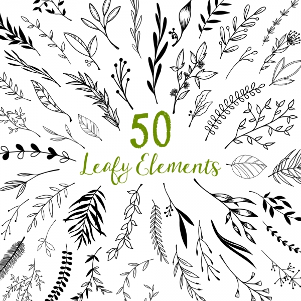 Download Leaf Clipart, Leaf Clip Art, Leaves, Plants, Leaf Graphics 