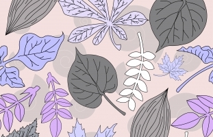 Seamless floral pattern