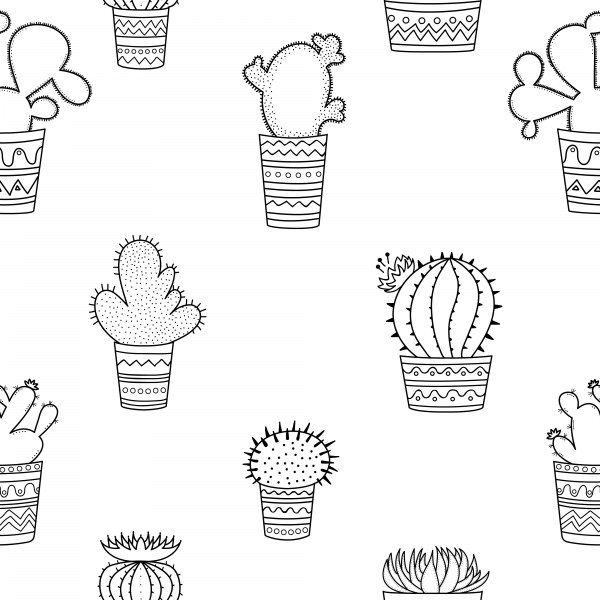 Download A set of black-and-white cactuses in pots in the M 