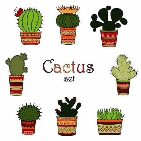 Color Cactus Set Mexican Style