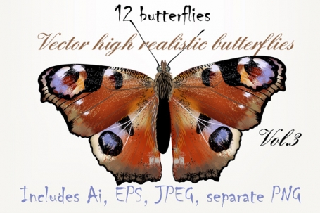 Set Of Vector Butterflies