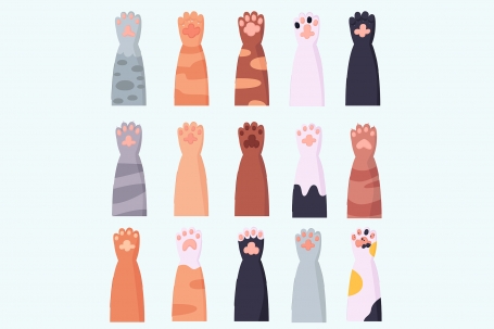 Cat Paw Cartoon Set Icon Animal