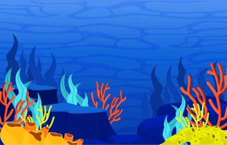 Marine Coral Reef Underwater Sea