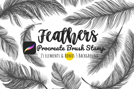 Procreate Brush Stamp Set Feathers