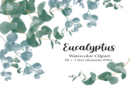 Eucalyptus, Watercolor Eucalyptus,